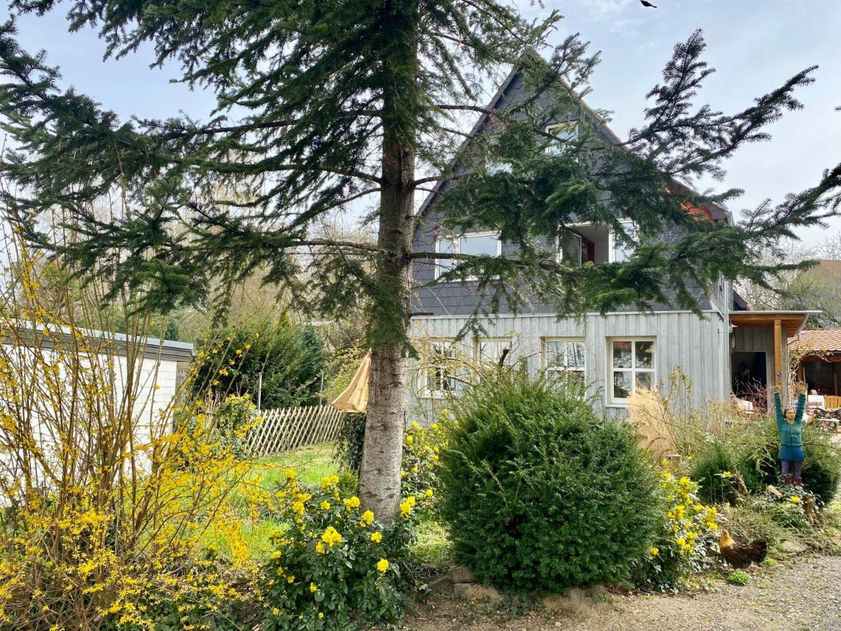Gronocottage Bad Harzburg Exterior foto